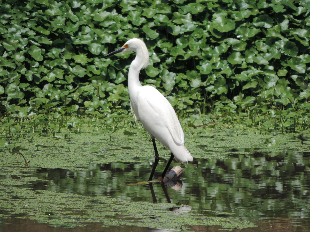 WhatsApp Image 2024-12-18 at 7.13.59 PM (2)