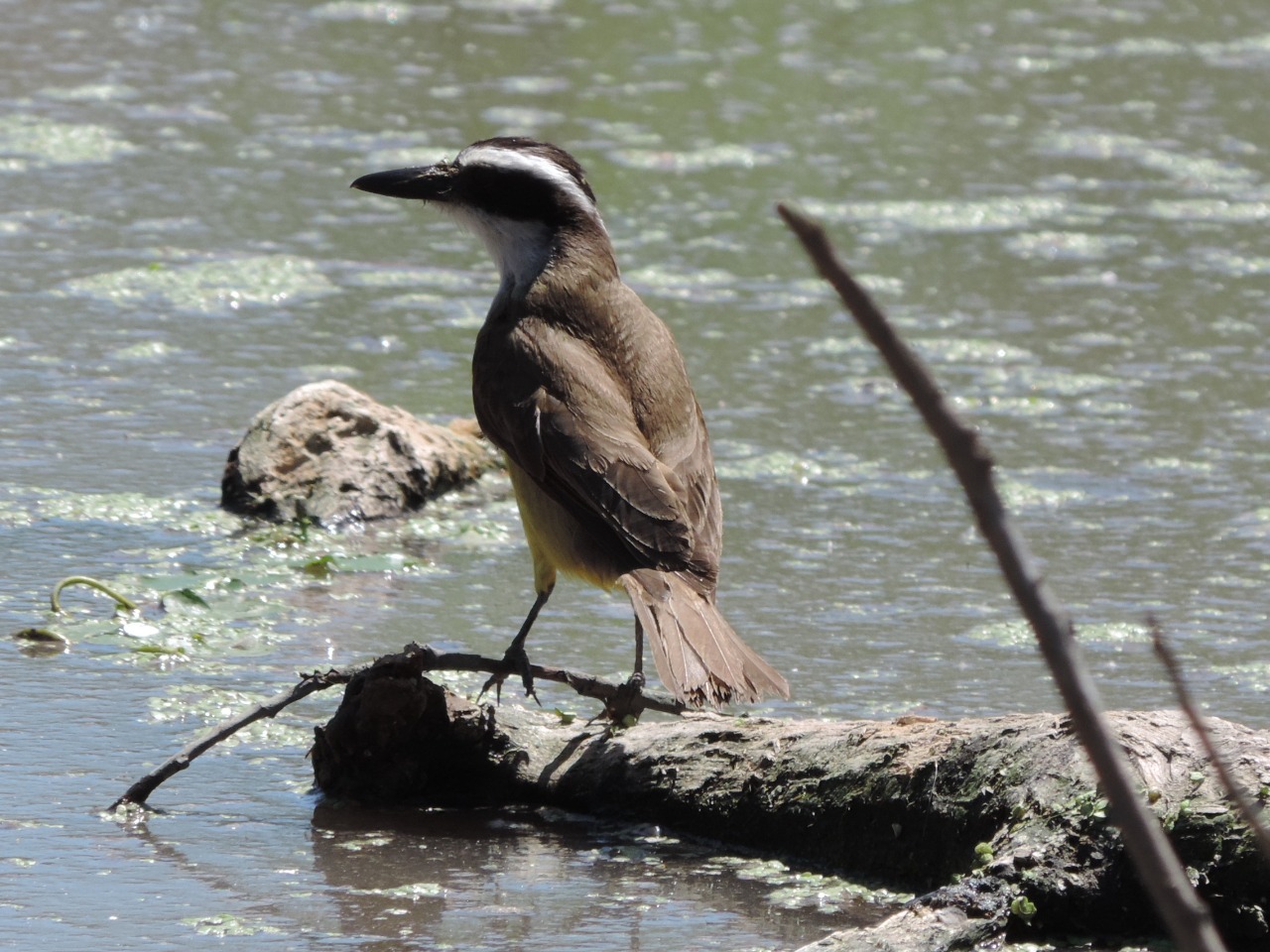 WhatsApp Image 2024-12-18 at 7.13.59 PM