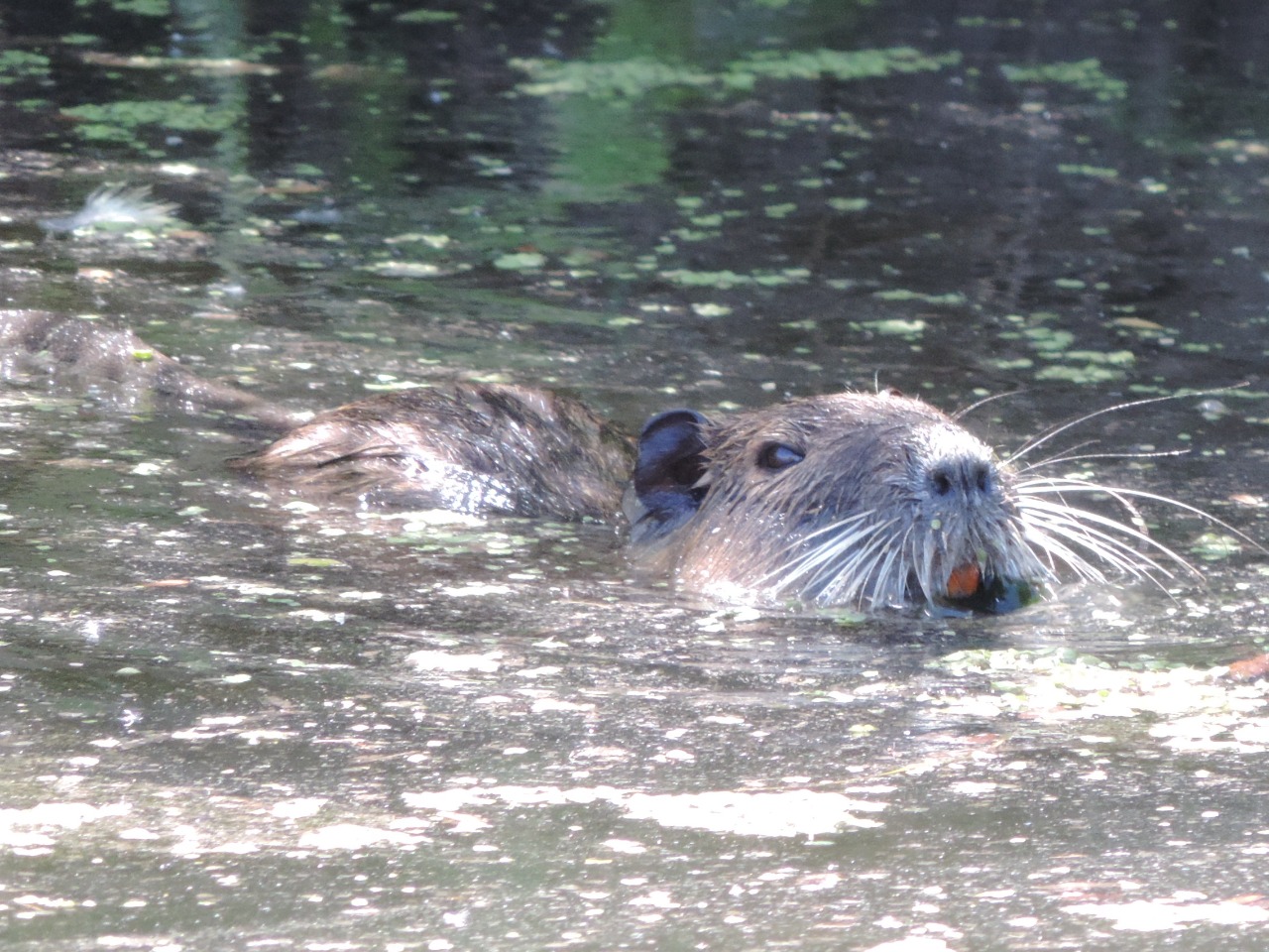 WhatsApp Image 2024-12-18 at 7.14.00 PM