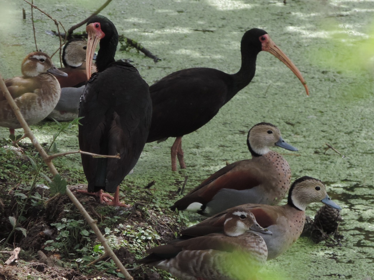 WhatsApp Image 2024-12-18 at 7.14.03 PM (1)