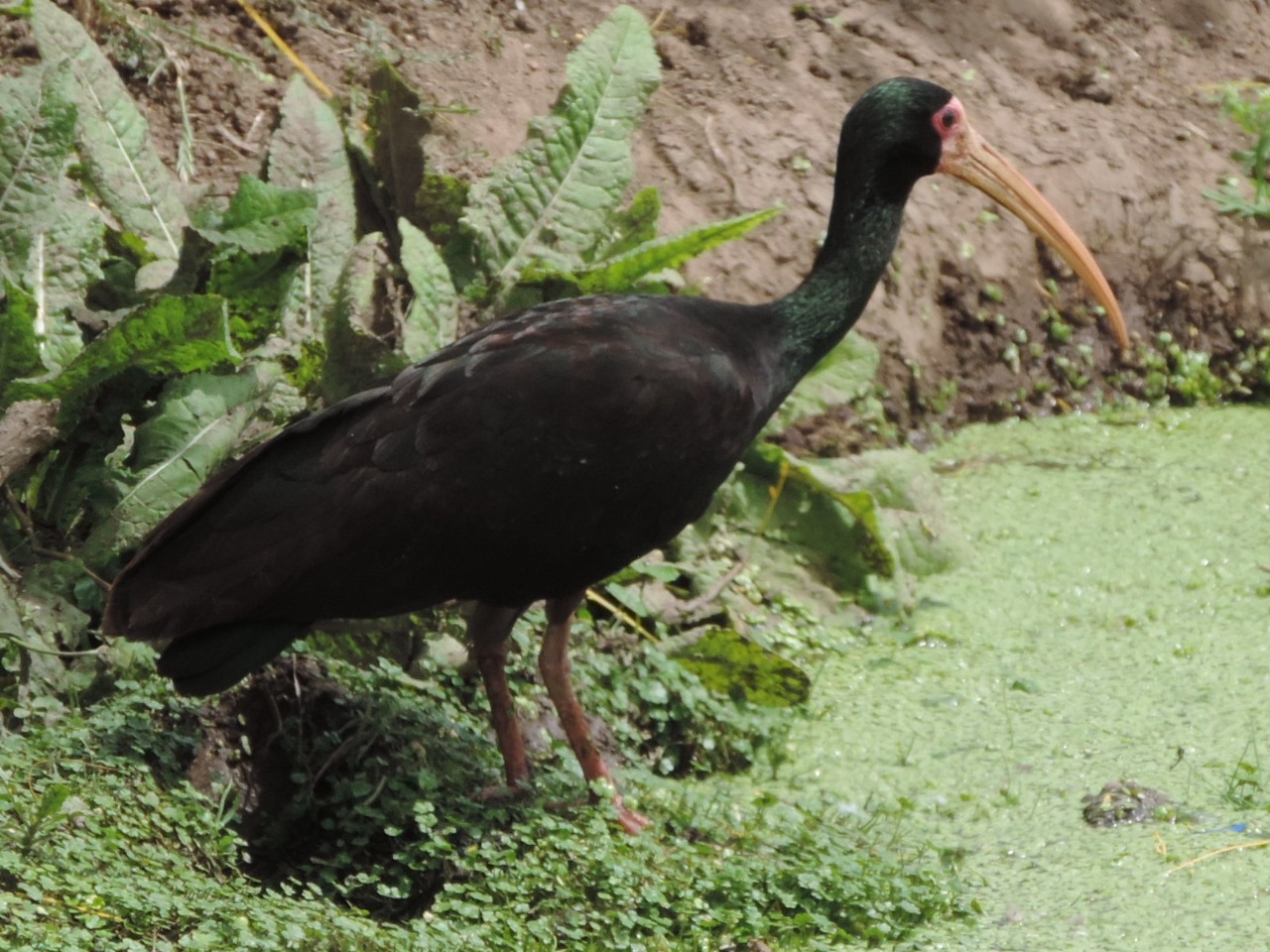 WhatsApp Image 2024-12-18 at 7.14.03 PM (2)