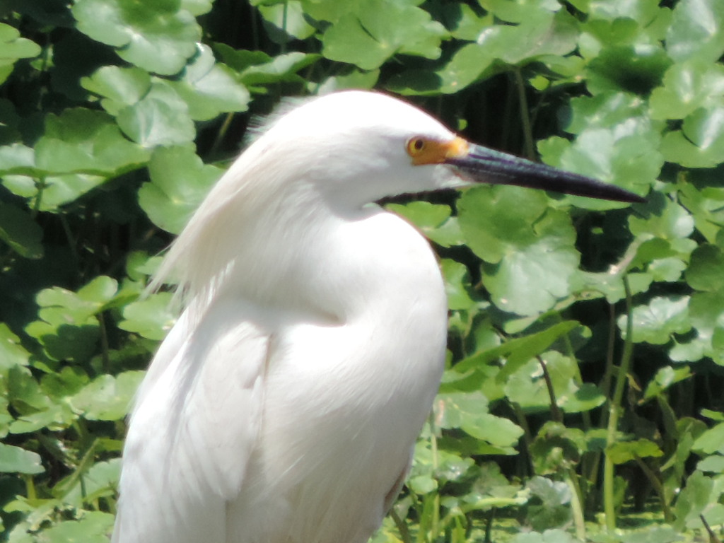 WhatsApp Image 2024-12-18 at 7.14.05 PM (1)