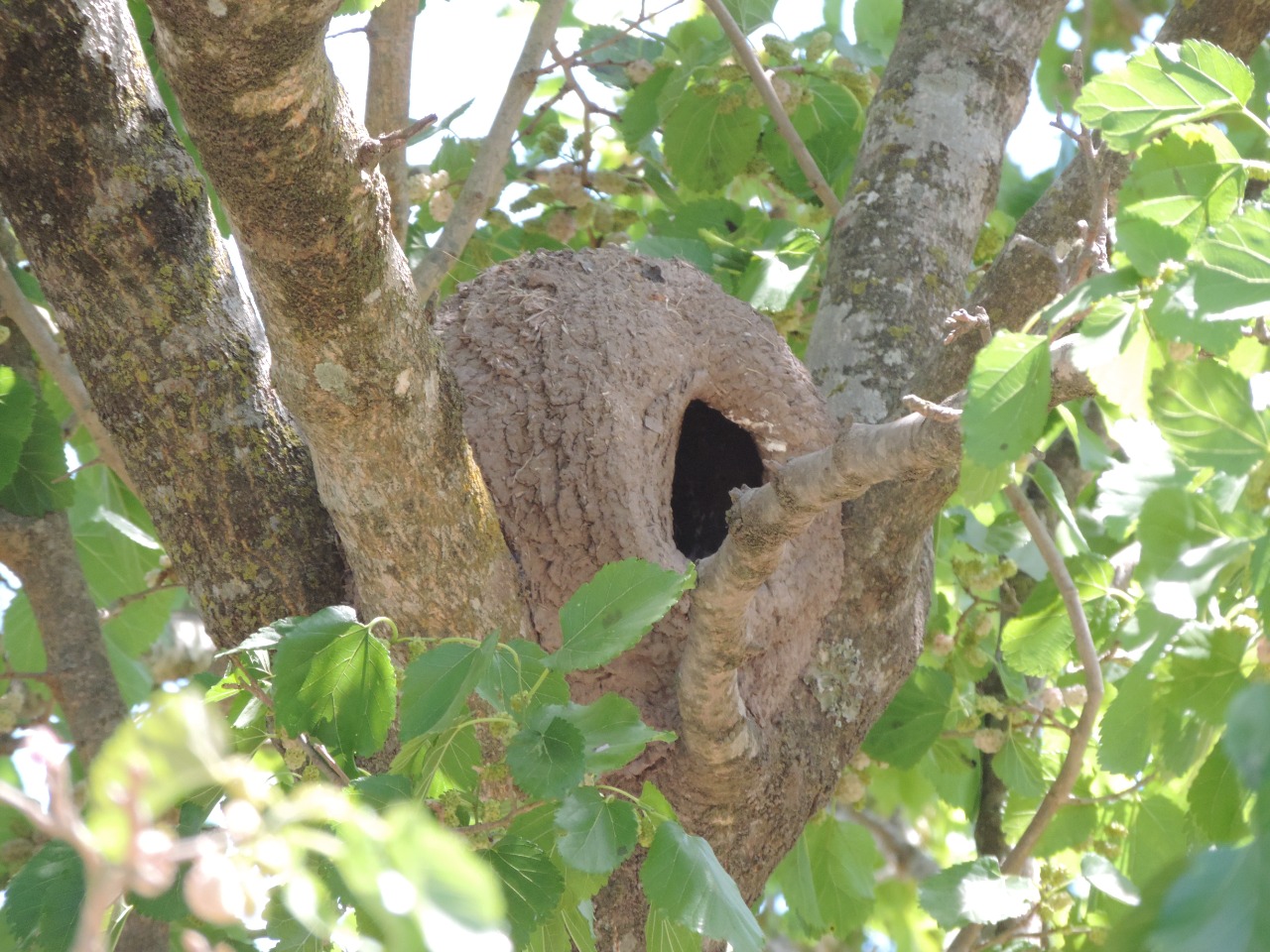 WhatsApp Image 2024-12-18 at 7.14.05 PM (2)