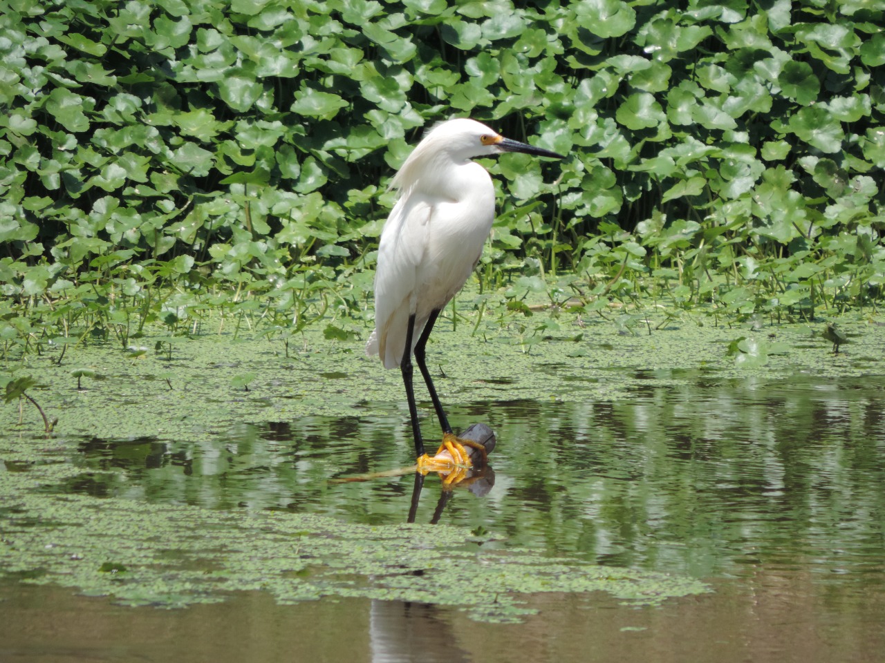 WhatsApp Image 2024-12-18 at 7.14.05 PM