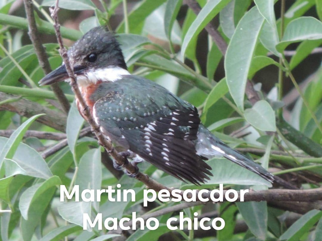 WhatsApp Image 2024-12-19 at 6.25.59 PM (1)