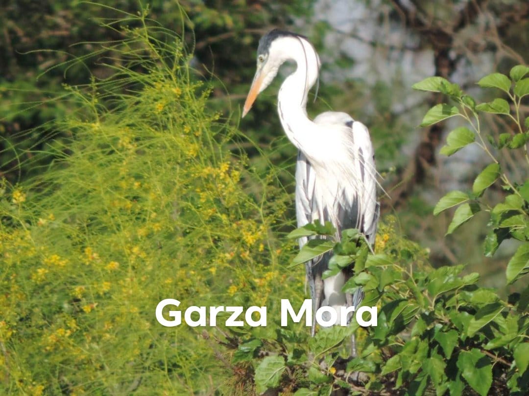 WhatsApp Image 2024-12-19 at 6.25.59 PM