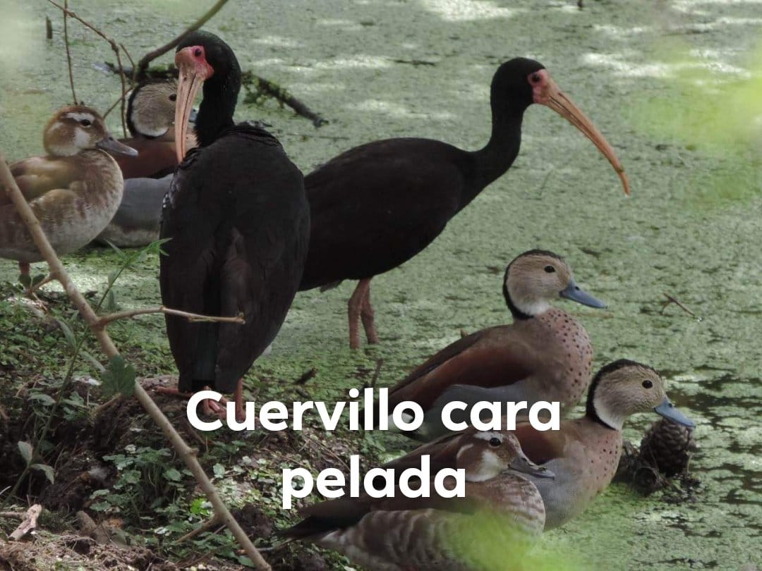 WhatsApp Image 2024-12-19 at 6.26.00 PM (1)