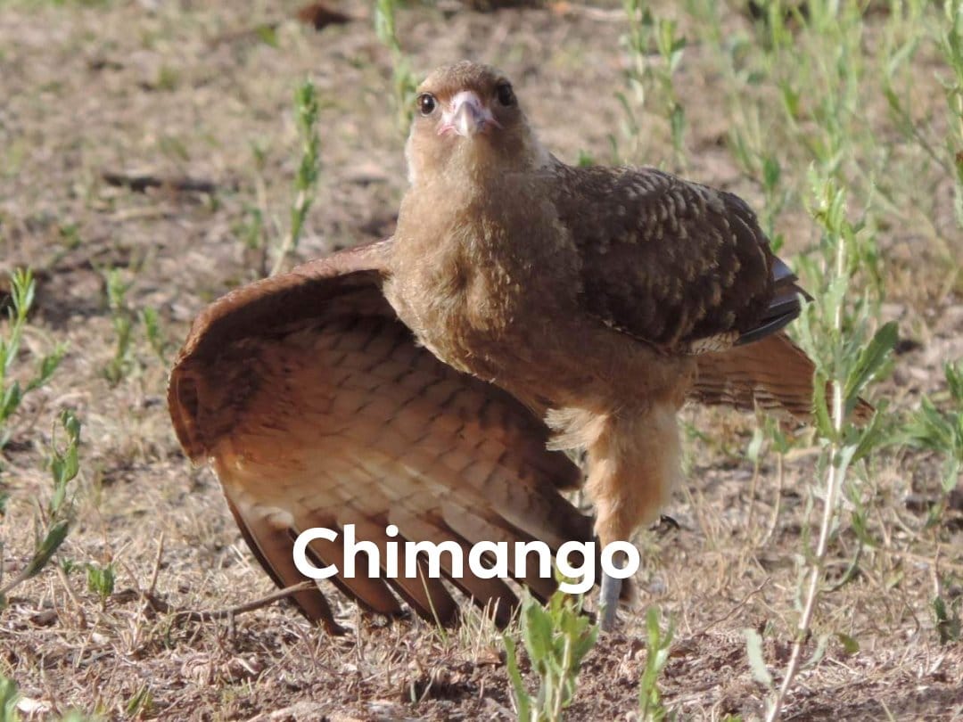 WhatsApp Image 2024-12-19 at 6.26.00 PM (2)