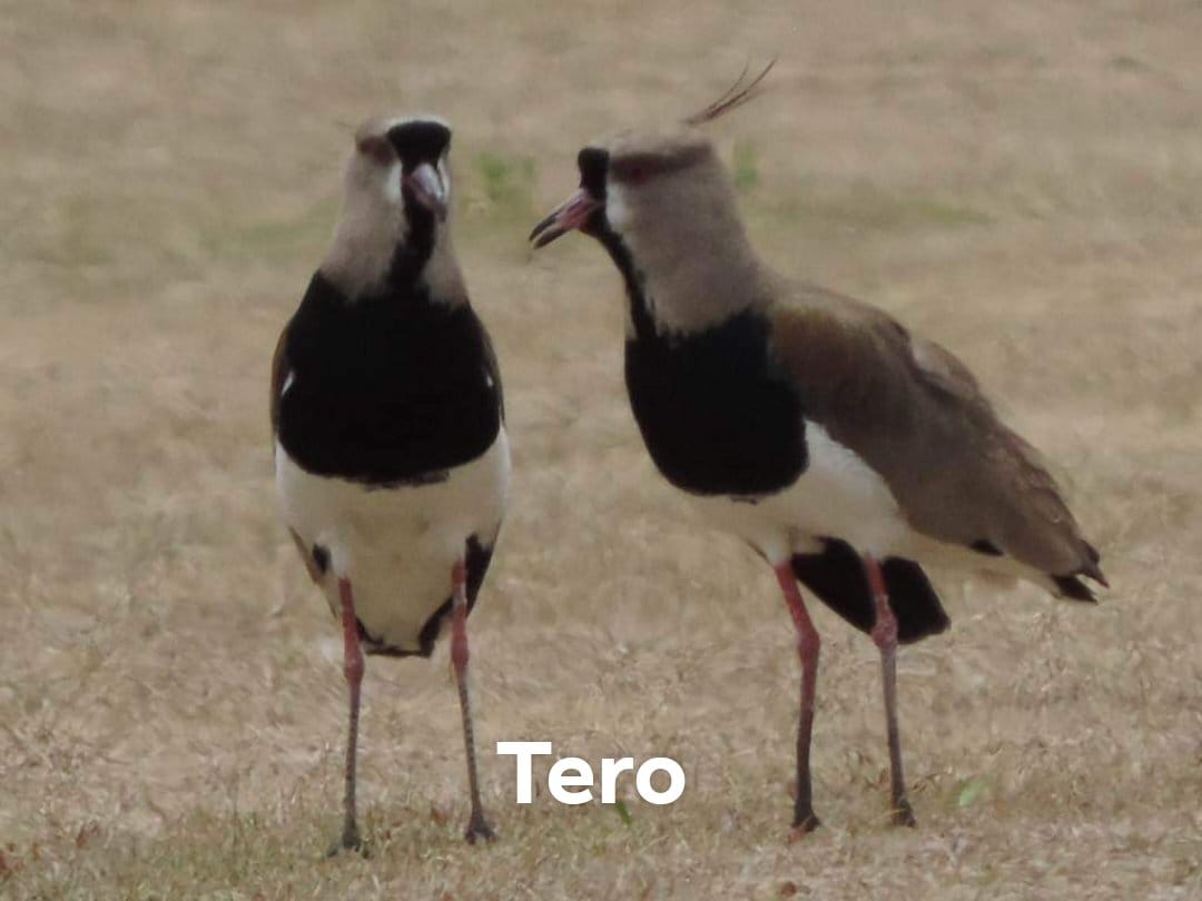 WhatsApp Image 2024-12-19 at 6.26.00 PM (3)