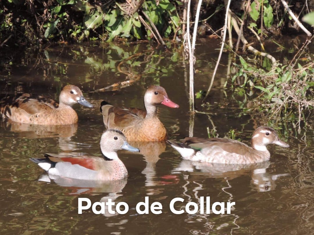 WhatsApp Image 2024-12-19 at 6.26.00 PM (4)