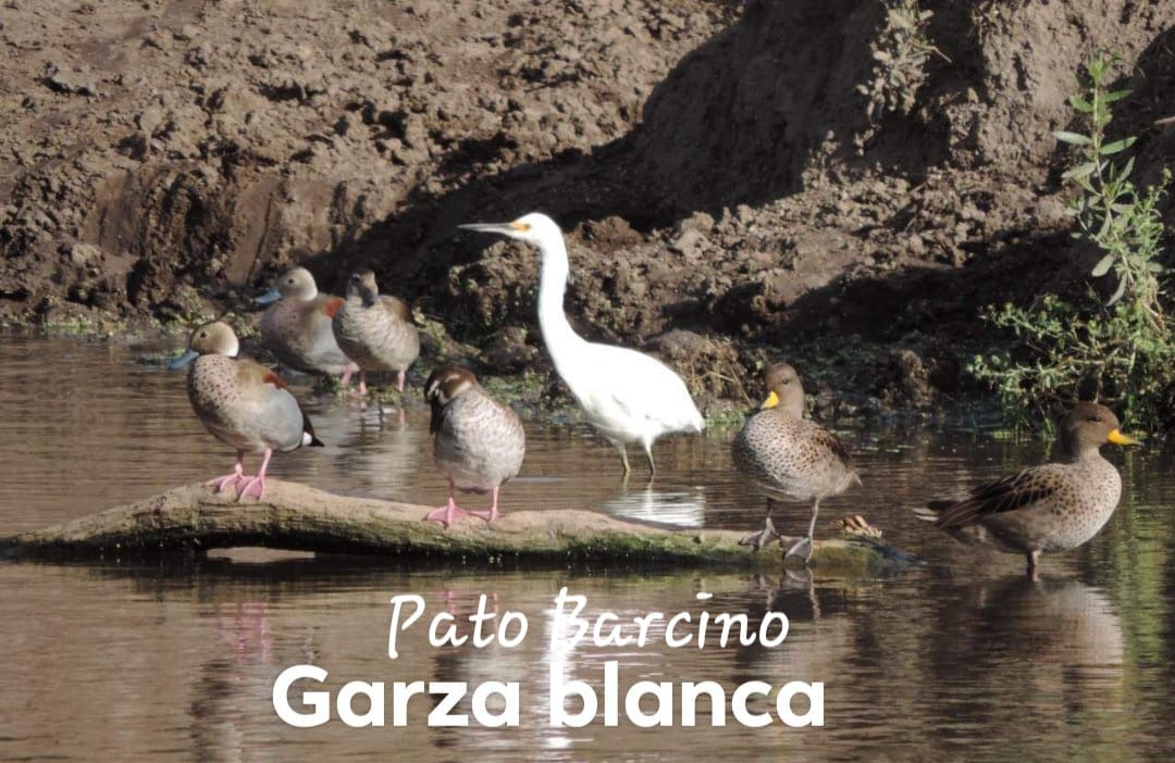 WhatsApp Image 2024-12-19 at 6.26.00 PM