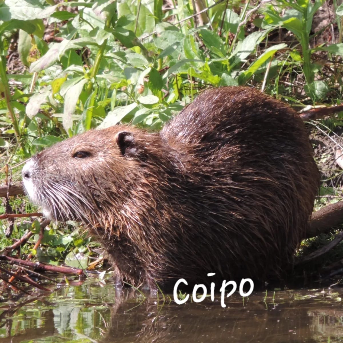 WhatsApp Image 2024-12-19 at 6.26.01 PM (1)