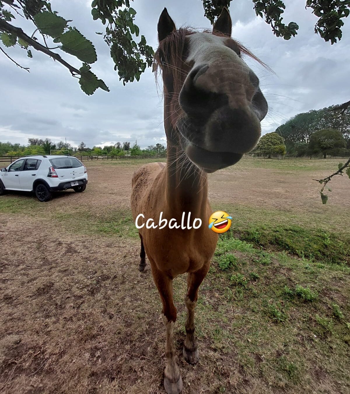 WhatsApp Image 2024-12-19 at 6.26.01 PM (2)