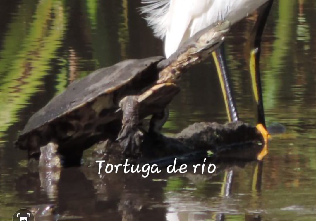 WhatsApp Image 2024-12-19 at 6.26.01 PM