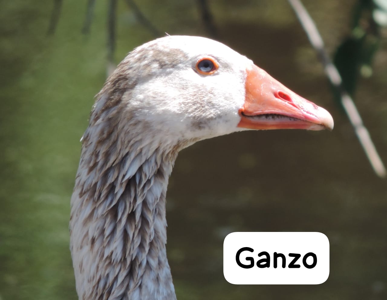 WhatsApp Image 2024-12-19 at 6.26.02 PM (1)