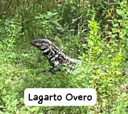 WhatsApp Image 2024-12-19 at 6.26.02 PM (2)