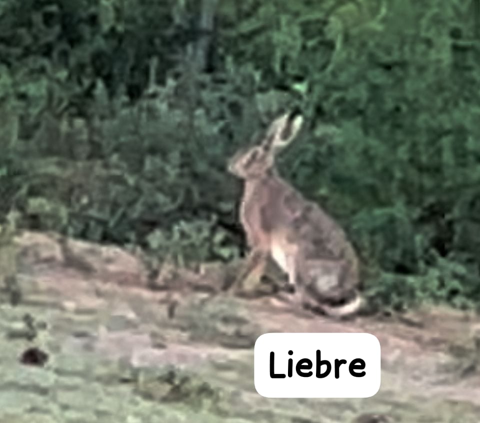 WhatsApp Image 2024-12-19 at 6.26.02 PM