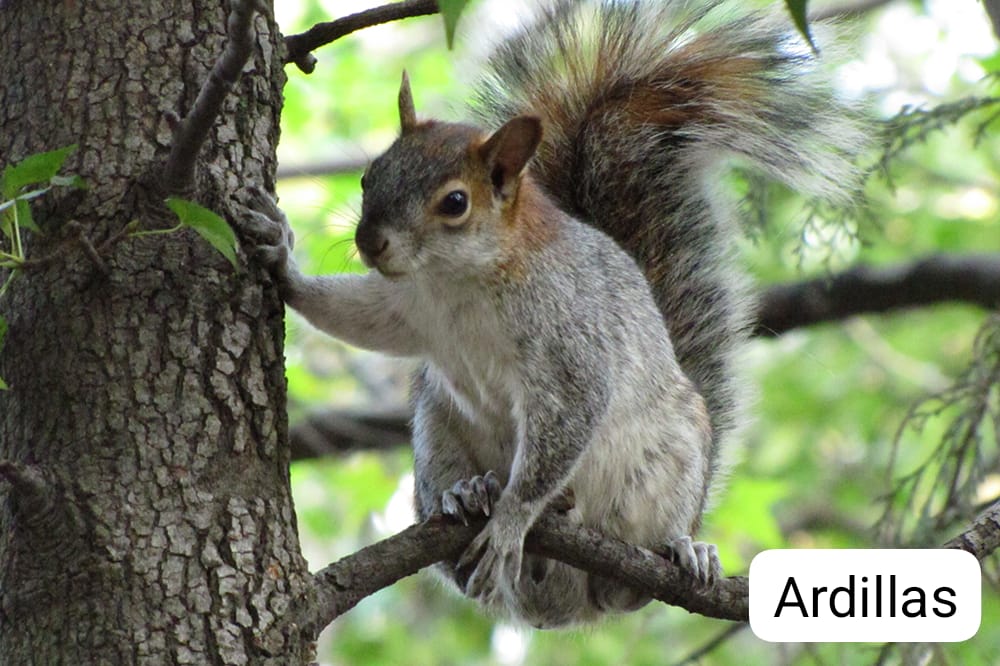 WhatsApp Image 2024-12-19 at 6.27.17 PM