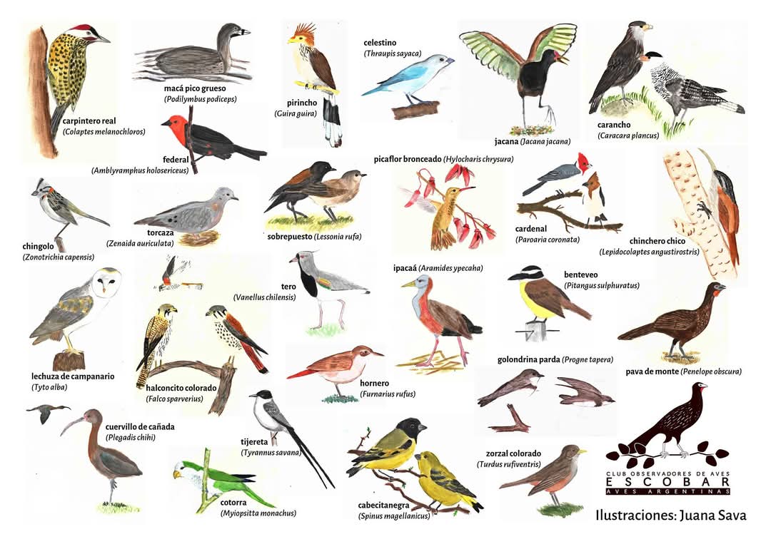 WhatsApp Image 2024-12-19 at 6.29.39 PM